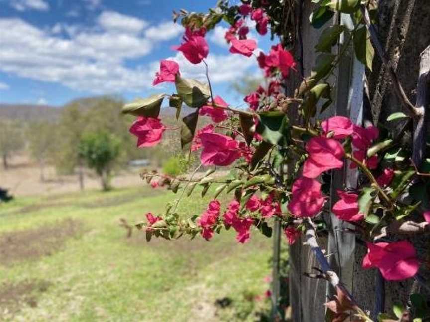 Farringdon Homestead, Accommodation in Tabooba