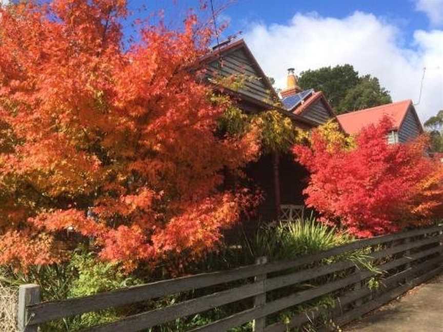 Maple Daylesford, Daylesford, VIC