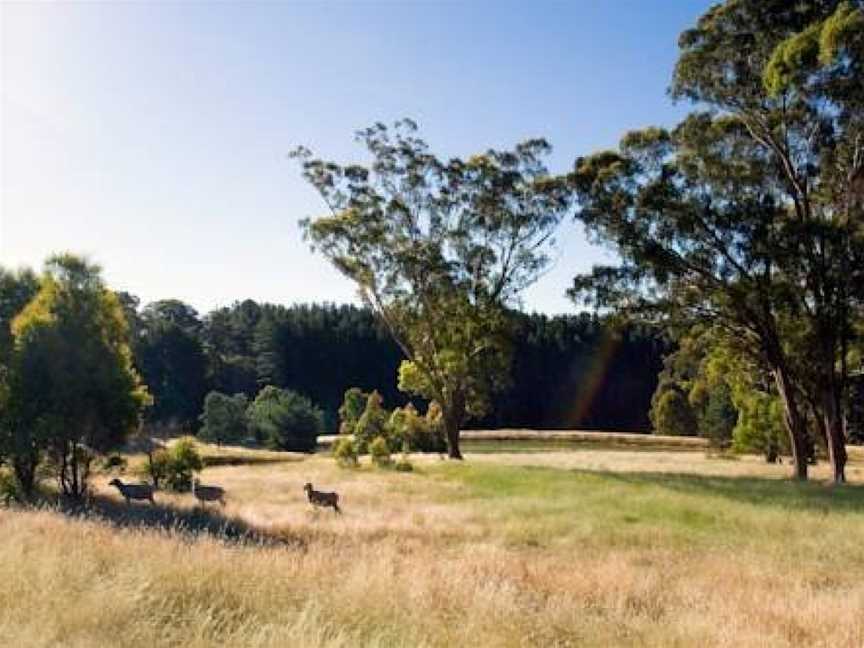 Montage, Glenlyon, VIC