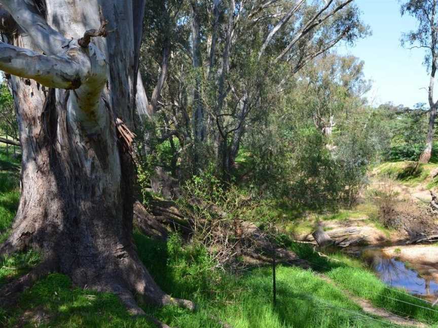 Jamel Lodge, Chiltern Valley, VIC