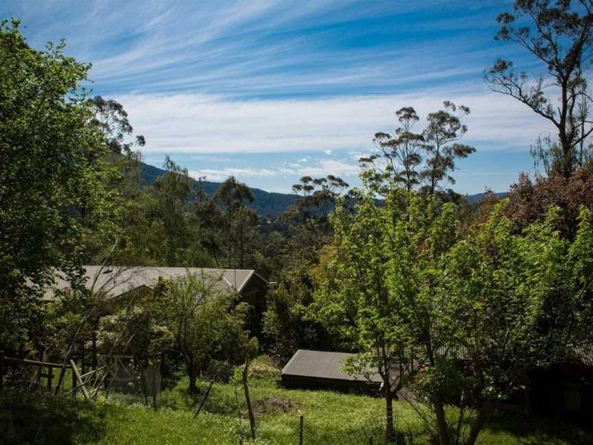 Buttercup Hill, Warburton, VIC