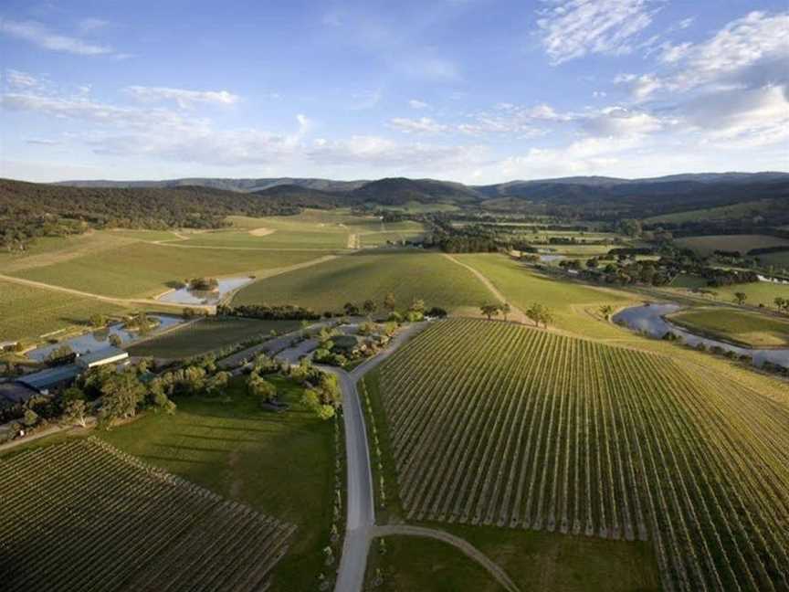 Lavender Farm, Badger Creek, VIC