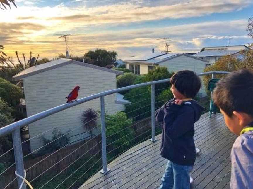 Seaside Pleasure, Marengo, VIC