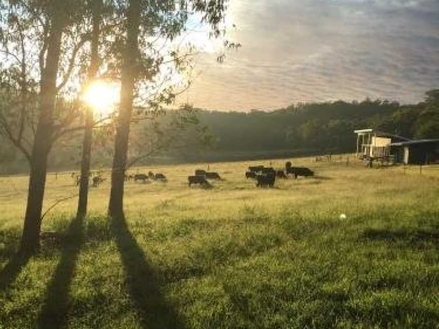 Valle Laguna, Laguna, NSW