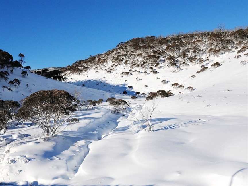 Powder 2A, Kosciuszko National Park, NSW