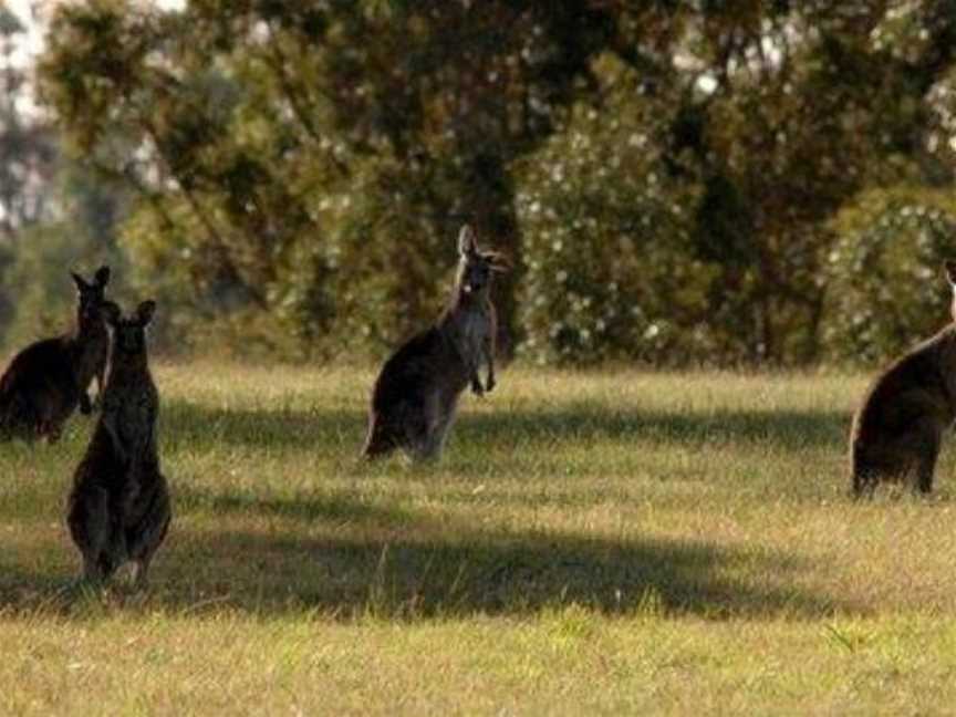 Abelia House Bed AND Breakfast, Lovedale, NSW