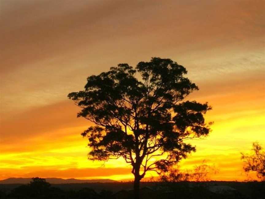 Bluebush Estate, Rothbury, NSW