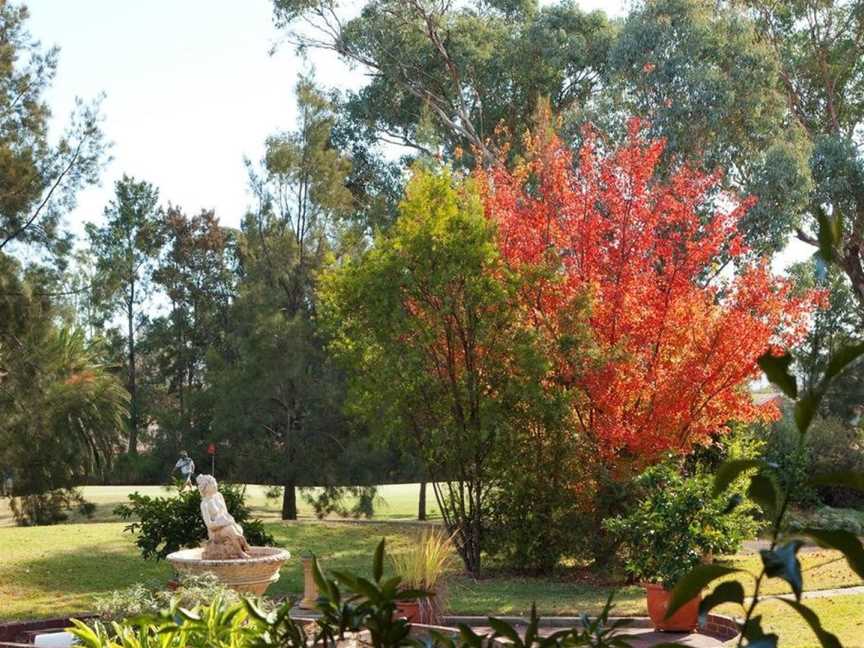 Plumes on the Green Boutique Bed & Breakfast, Hillvue, NSW