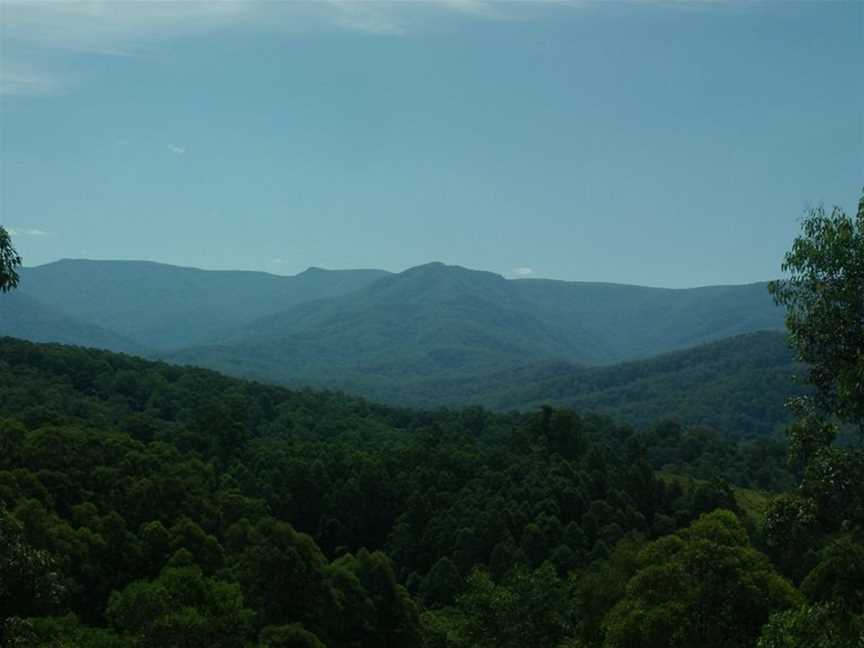 Tristania Tops, Upper Allyn, NSW