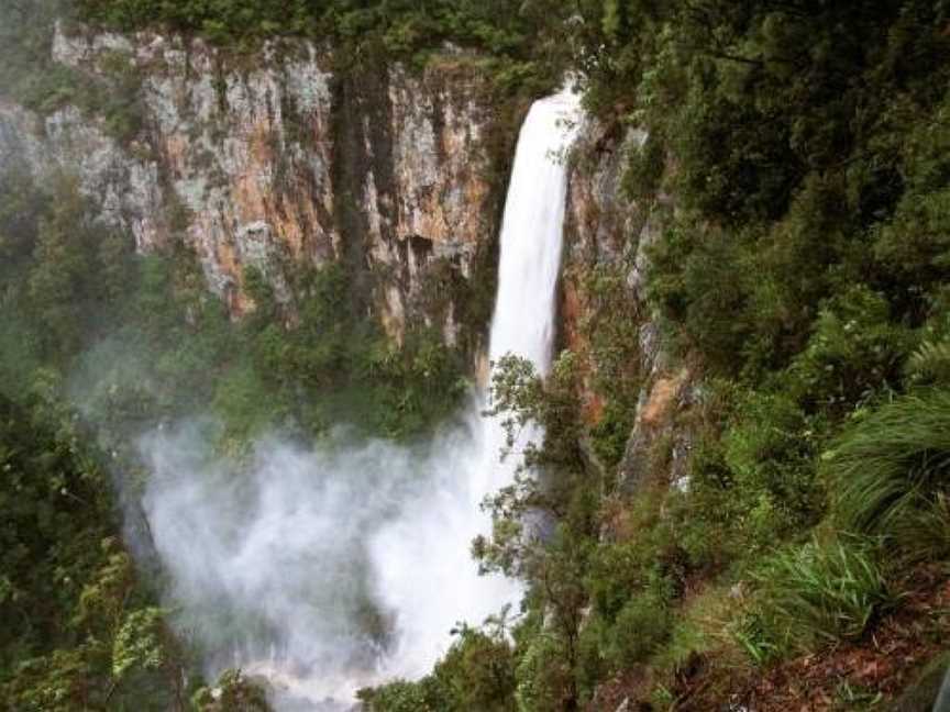 Springbrook Lyrebird Retreat, Springbrook, NSW