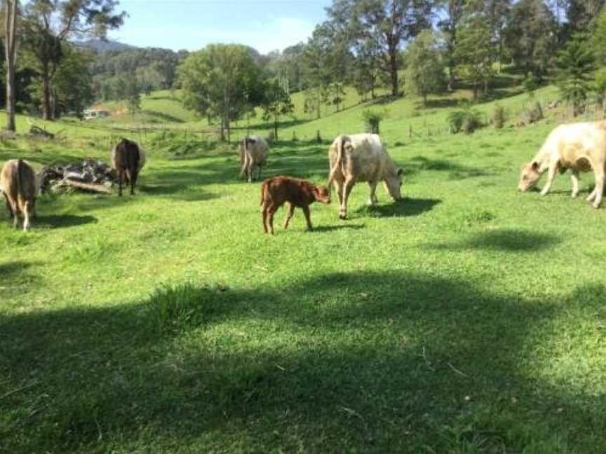 The Croft Bed and Breakfast, Urliup, NSW