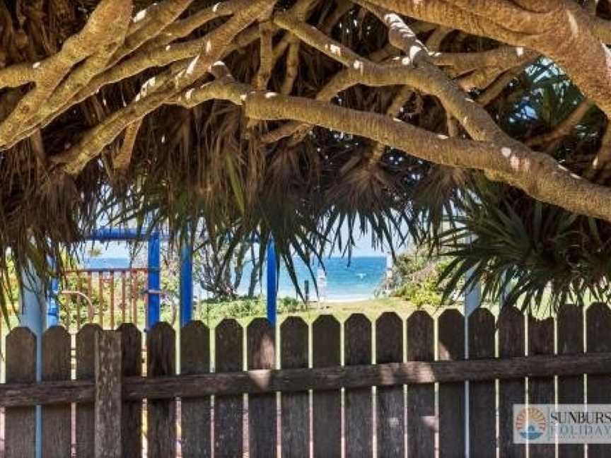 Pandanus on Emerald, Emerald Beach, NSW