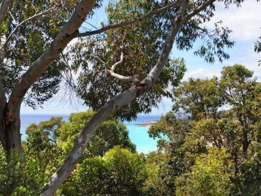 Kestral Ashore, Eagle Bay, WA