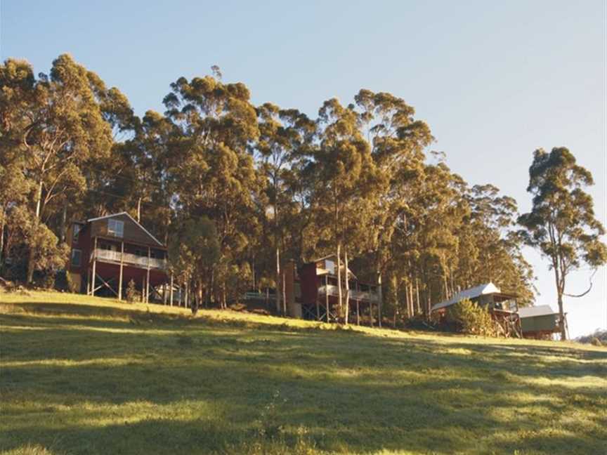 ...nestled on the hillside under a canopy of eucalyptus.....