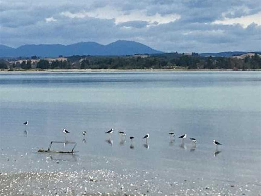 Beachfront Studio, Motueka, New Zealand