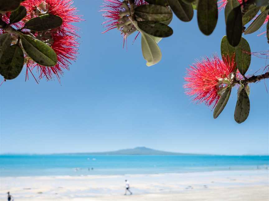 Takapuna Beach Holiday Park, Auckland, New Zealand