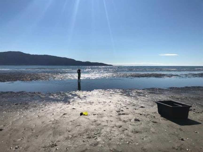 Beachfront Apartments, Paraparaumu, New Zealand