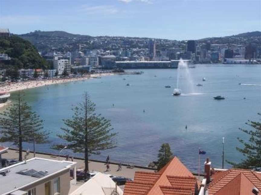 Oriental Bay At Its Best, Wellington (Suburb), New Zealand