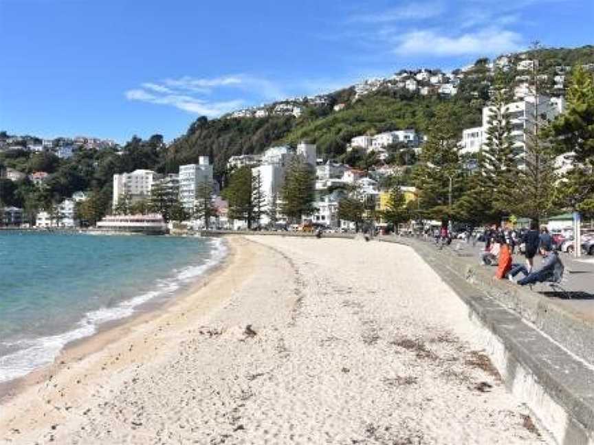 Private Beach House, Wellington (Suburb), New Zealand