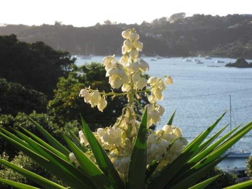 Studio 33, Waiheke Island (Suburb), New Zealand