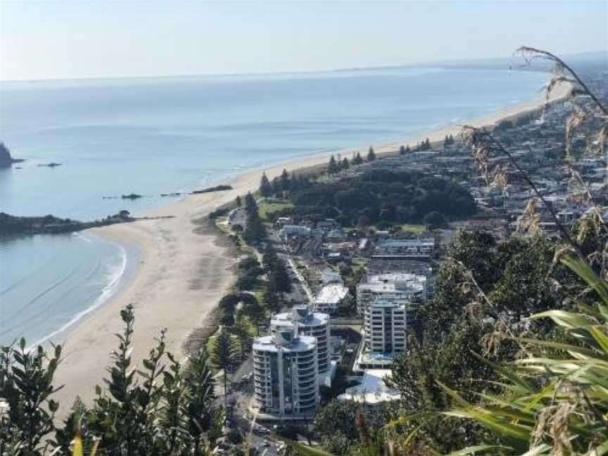 Oceanside Apartment, Tauranga (Suburb), New Zealand