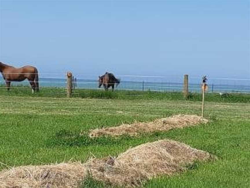 Oceanview Eco Motor Park, Oamaru, New Zealand