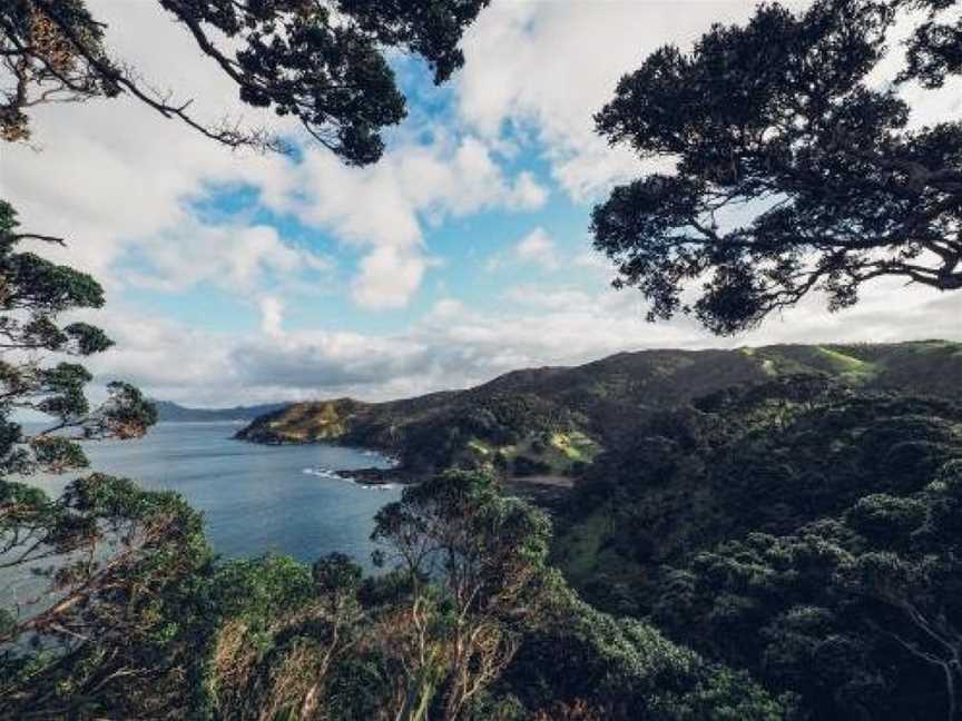 Te Whara at Kauri Mountain Point, Rukuwai, New Zealand