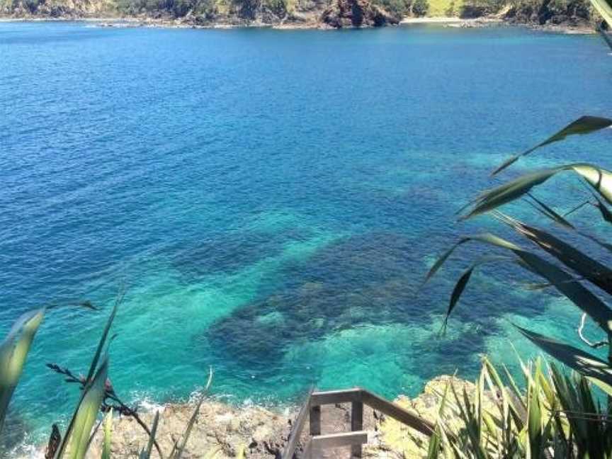 Te Whara at Kauri Mountain Point, Rukuwai, New Zealand