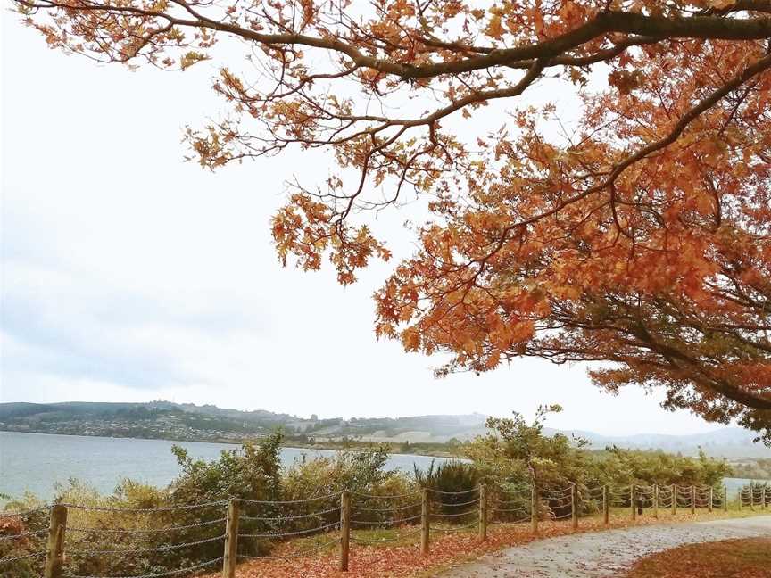 Silver Fern Lodge, Taupo, New Zealand