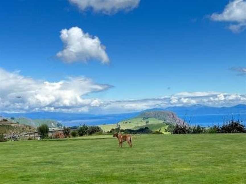 Hilltop Whakaipo Estate, Taupo, New Zealand