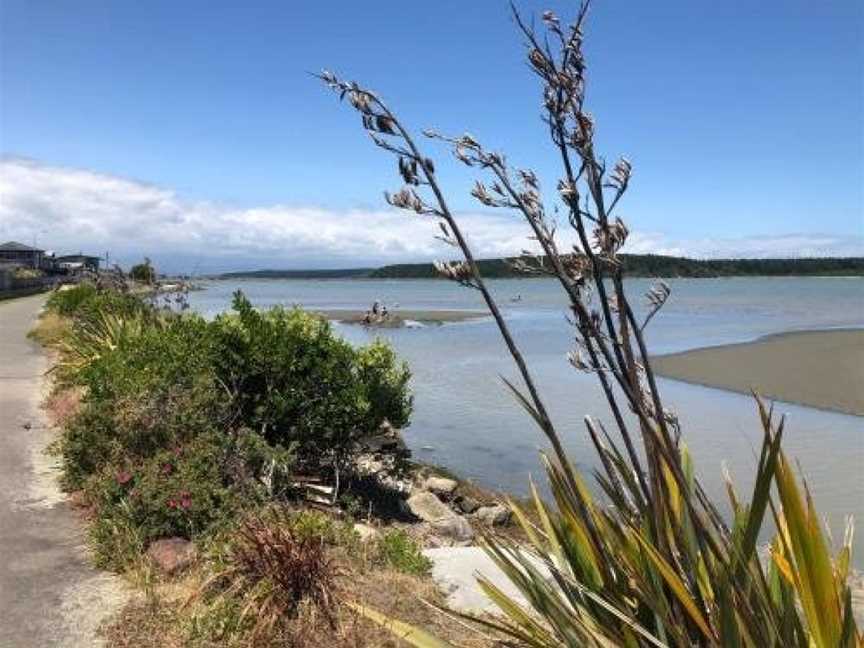 Nikaus on Palmer, Foxton Beach, New Zealand