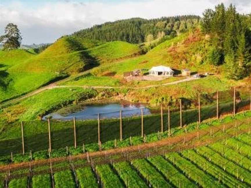 Orchard Valley Glamping, Otorohanga, New Zealand