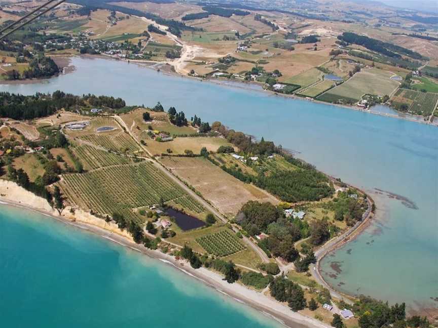 The Waters, Brown Owl, New Zealand