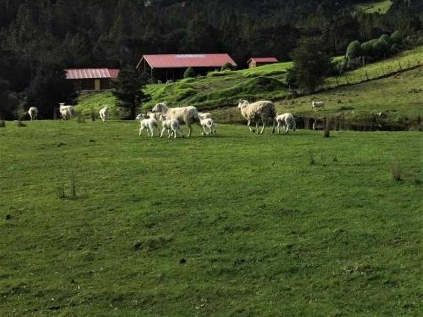 The Hideout, Topuni, New Zealand