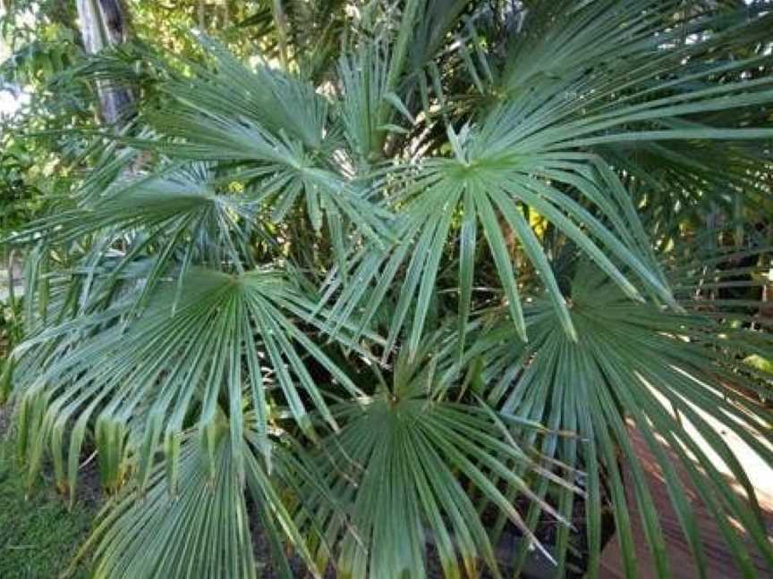 Palm Garden Papamoa Beach Paradise, Papamoa, New Zealand