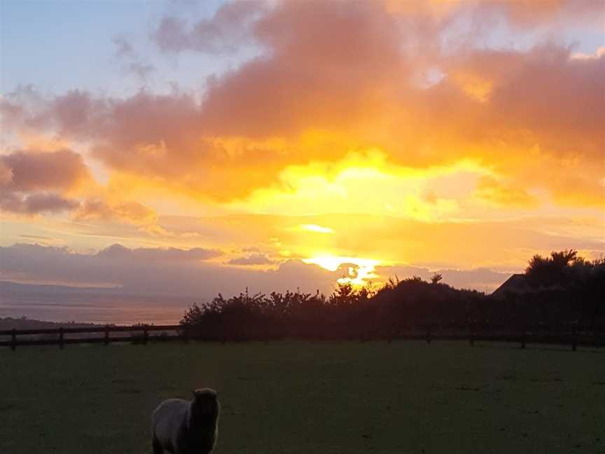 Lakeview Studio Cabin, Turangi, New Zealand