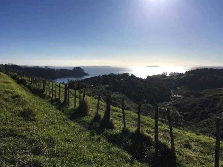 Oneroa Gardens, Waiheke Island (Suburb), New Zealand