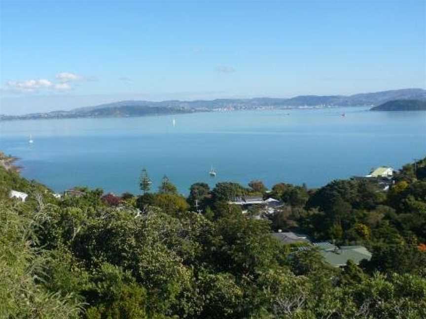 Breakaway at York Bay, Homedale, New Zealand