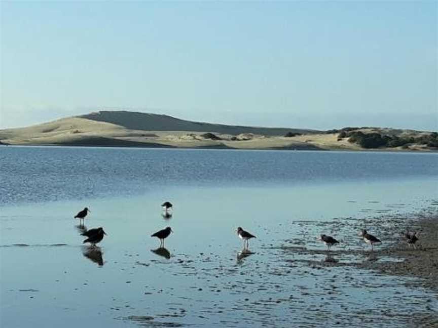 Quail's Nest, Mangawhai, New Zealand