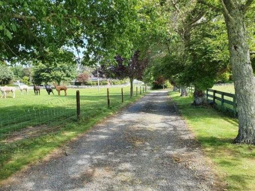 Country Cottage Retreat Near Rotorua, Rotorua, New Zealand