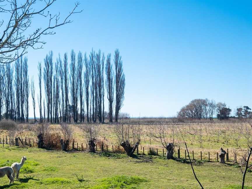 Te Awanga Cottages, Te Awanga, New Zealand