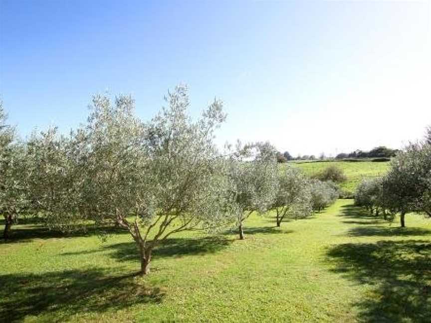 Ohaupo Olives, New Zealand