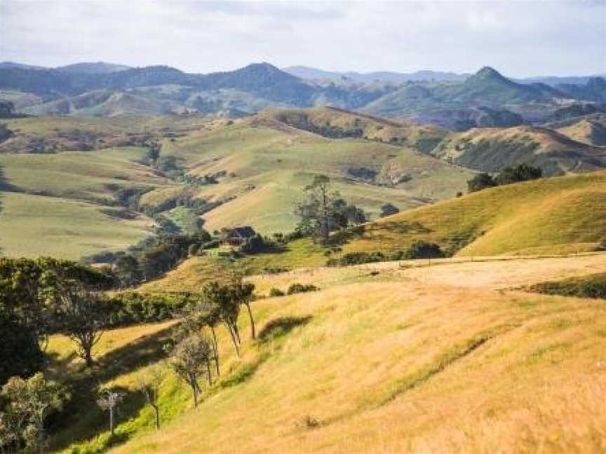 Earth Energies Sanctuary, Waitakaruru, New Zealand