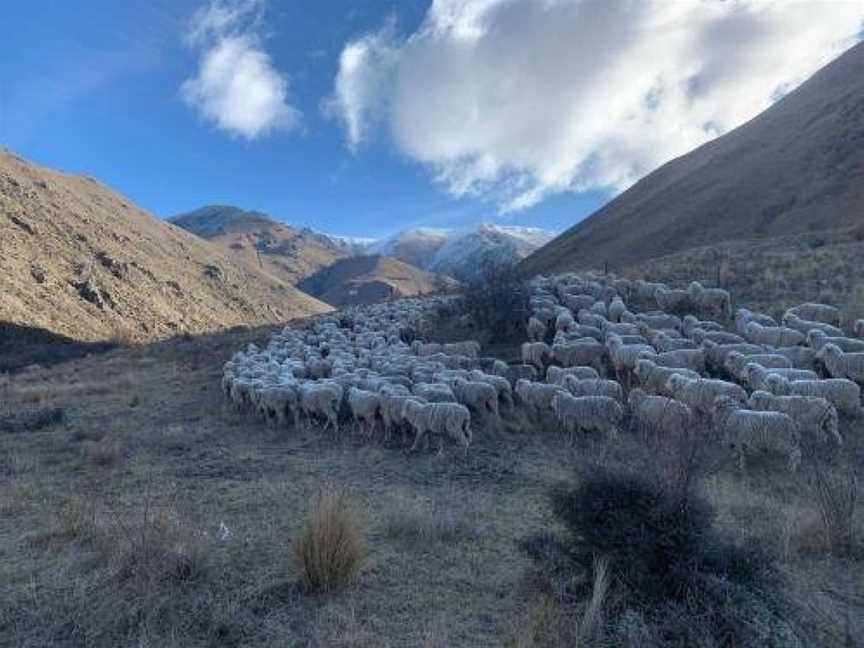 Quail Rest, Twizel, New Zealand