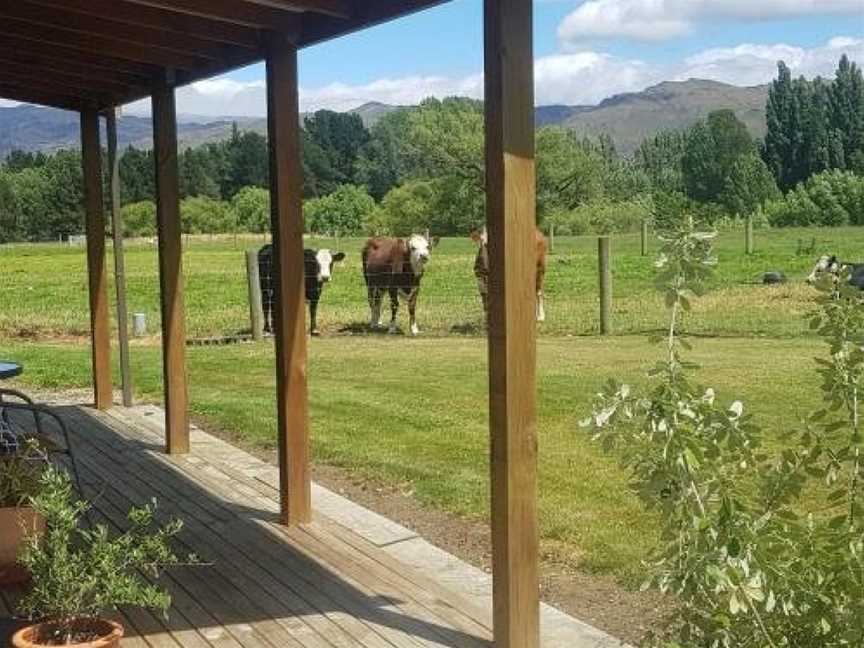 Dunstan Road B&B, Alexandra, New Zealand