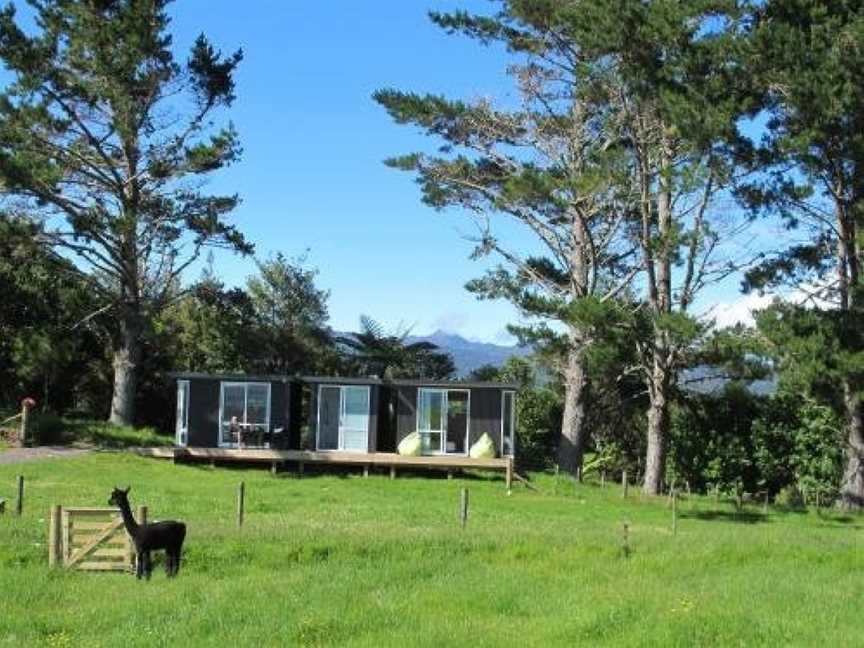 Waihi Gold Alpacas 1 or 2 people, Waihi, New Zealand