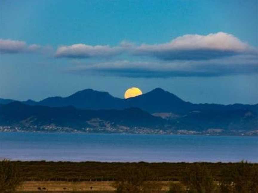 Miranda Sea View Apartment, Waitakaruru, New Zealand