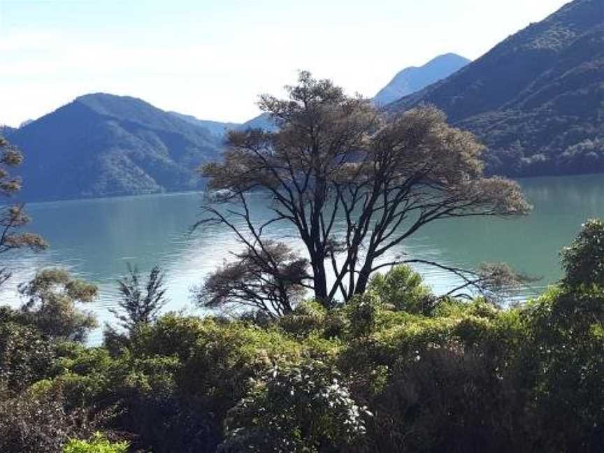 Marlborough Sounds Accommodation, Havelock, New Zealand