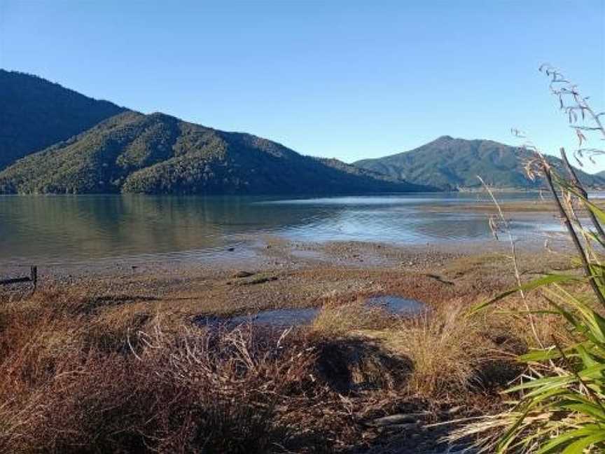 Marlborough Sounds Accommodation 792, Havelock, New Zealand