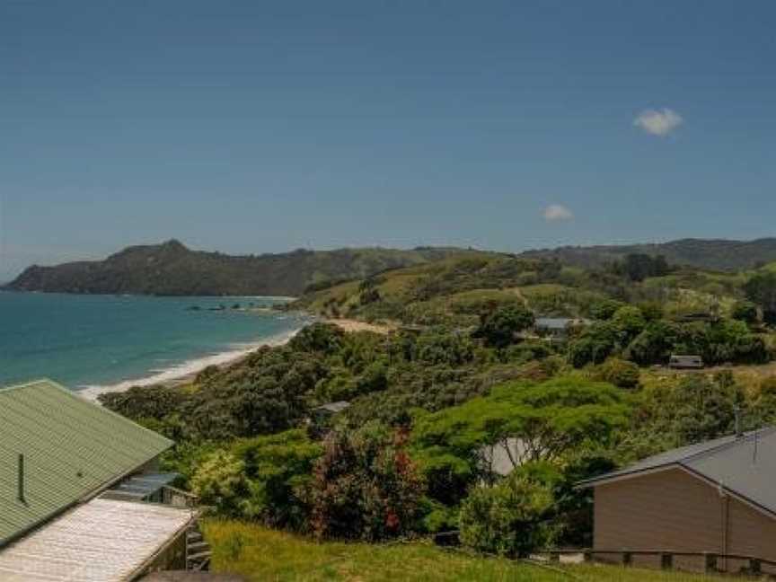 Hosts on the Coast taahua., Kuaotunu West, New Zealand